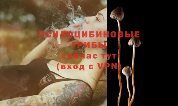 а пвп мука Балабаново